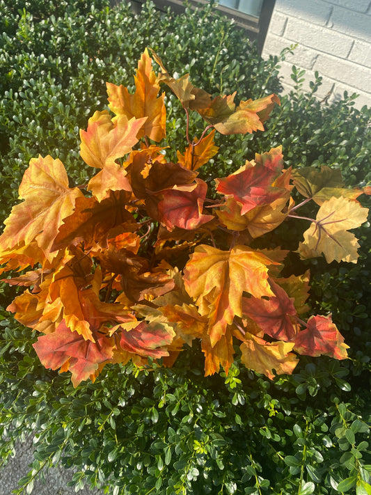 22” LG Maple Leaf Bush