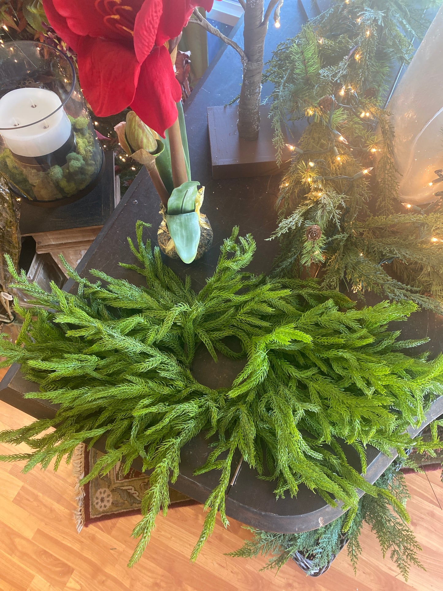 24" Just Cut Norfolk Pine Centerpiece