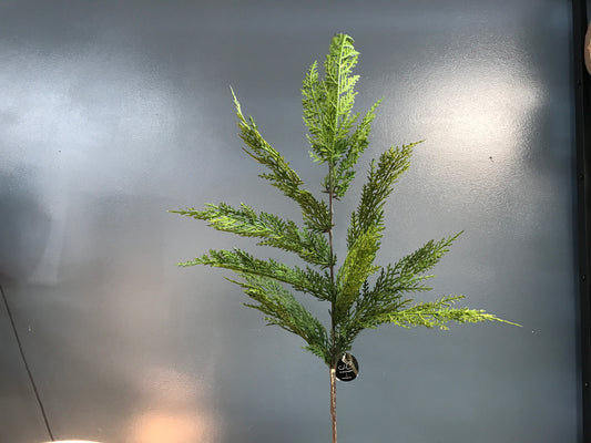 34” Selaginella Fresh Touch Cedar Spray (12/144) WOE
