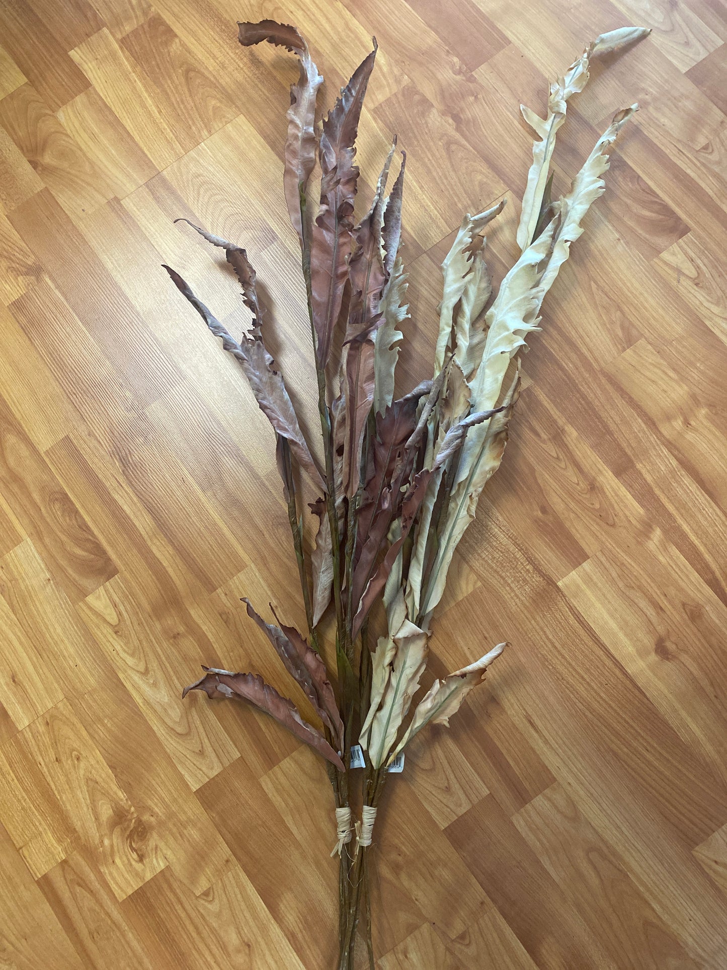 LG Dried Fern Bundle 49”