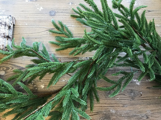 6'L Norfolk Island Pine Garland