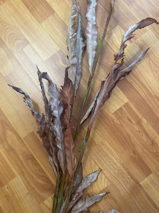 LG Dried Fern Bundle 49”