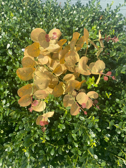 16.5” Hillside Eucalyptus Bundle x3 Lt. Sage