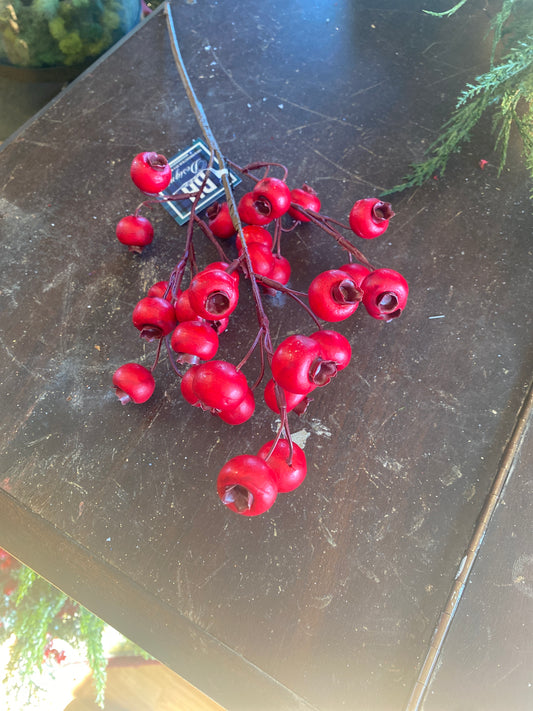 18" Pomegranate Stem (Outdoor)