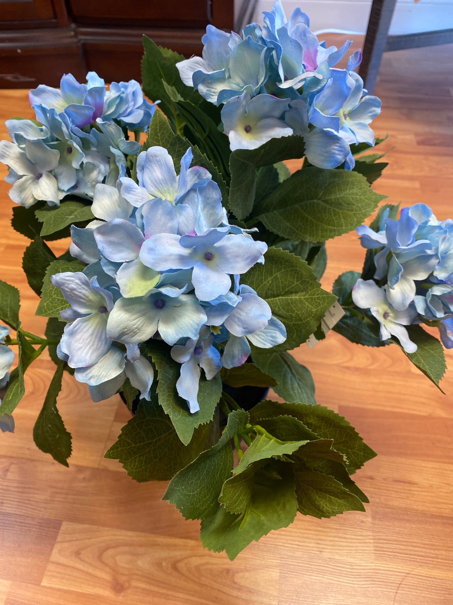 Potted 5 Bloom Hydrangea with Faux Dirt