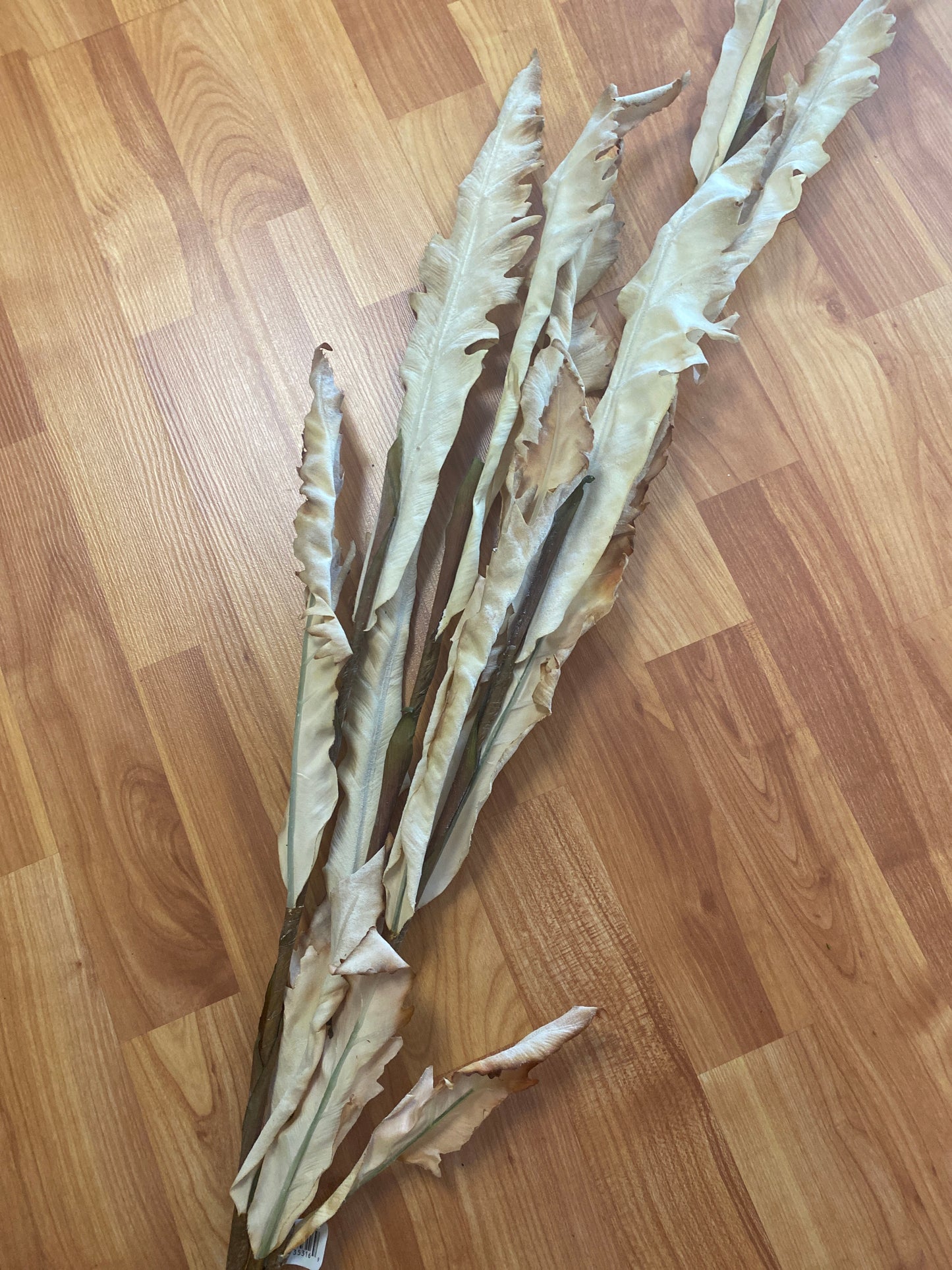 LG Dried Fern Bundle 49”