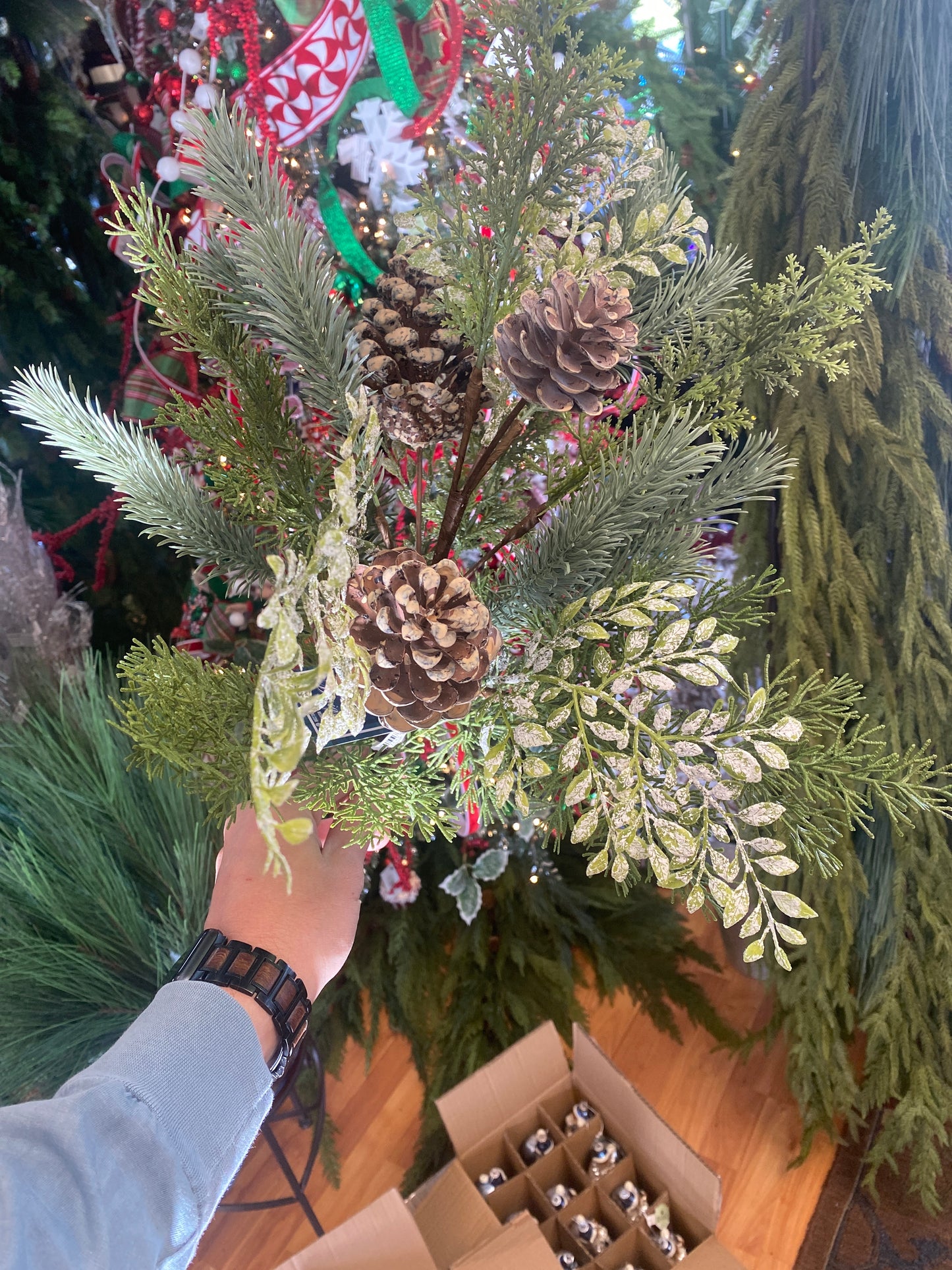 21" Norfolk Pine Bush