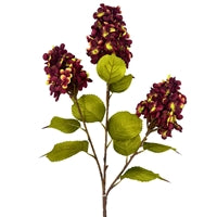 Meadows Cone Hydrangea Stem