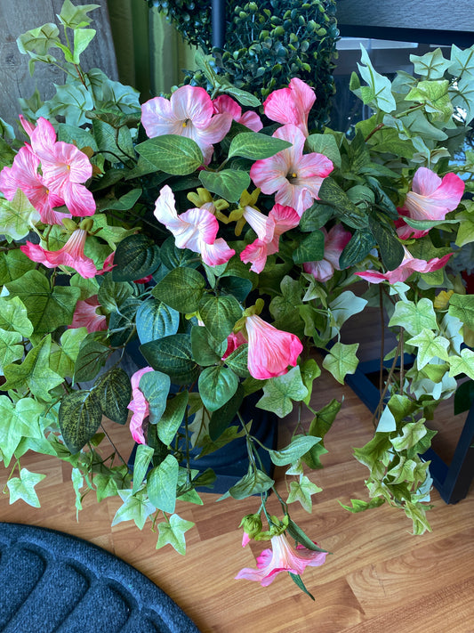 Hot Pink Petunia Hanging Bush 18" Long