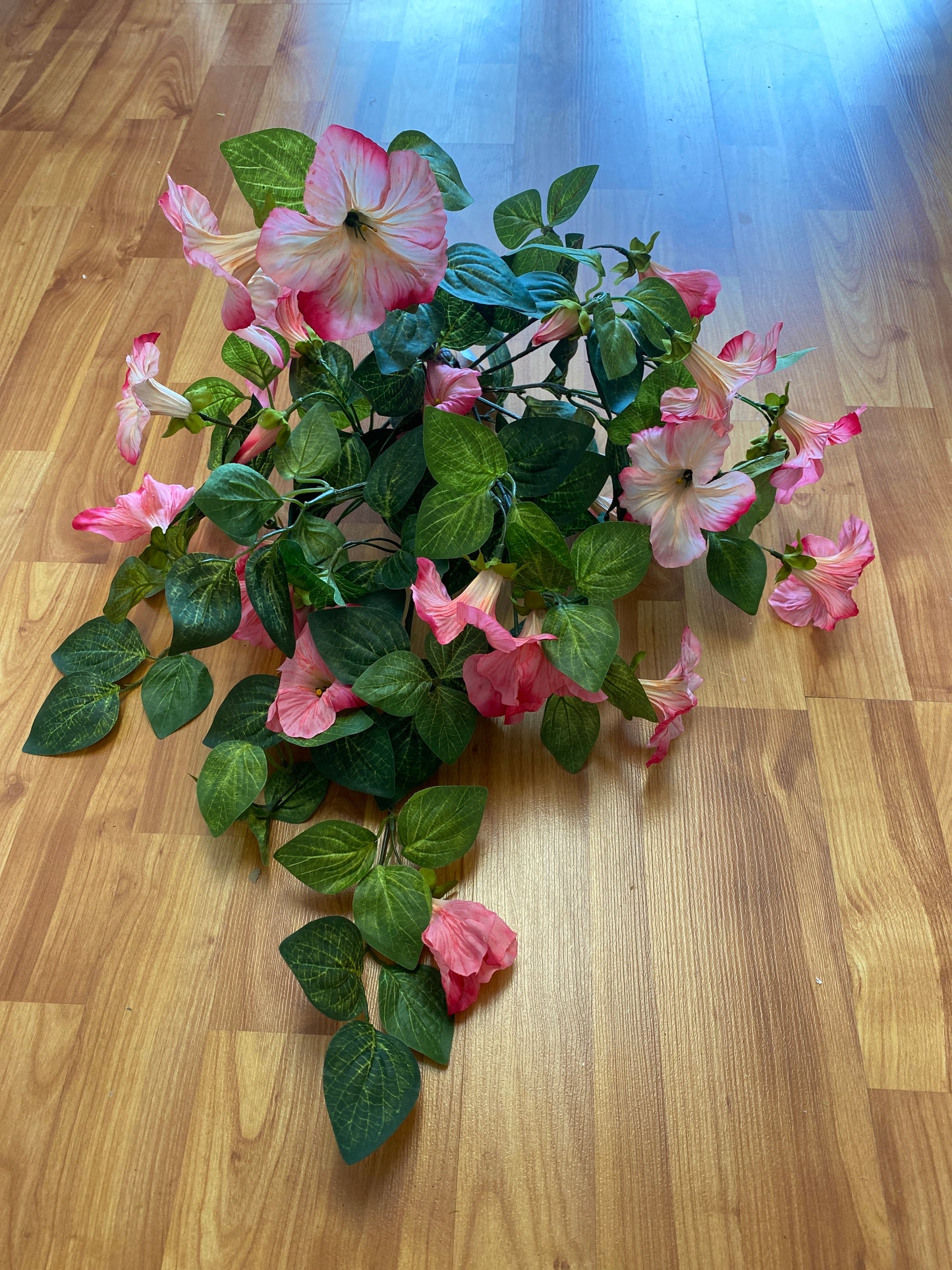 Hot Pink Petunia Hanging Bush 18" Long