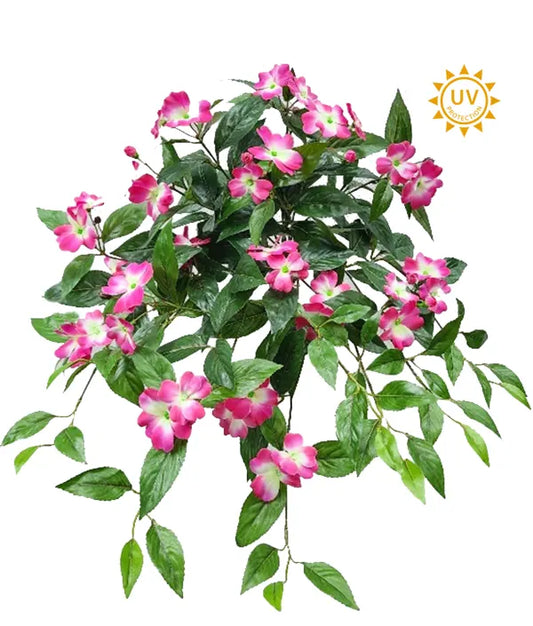 Impatients Hot Pink Bush UV Resistant