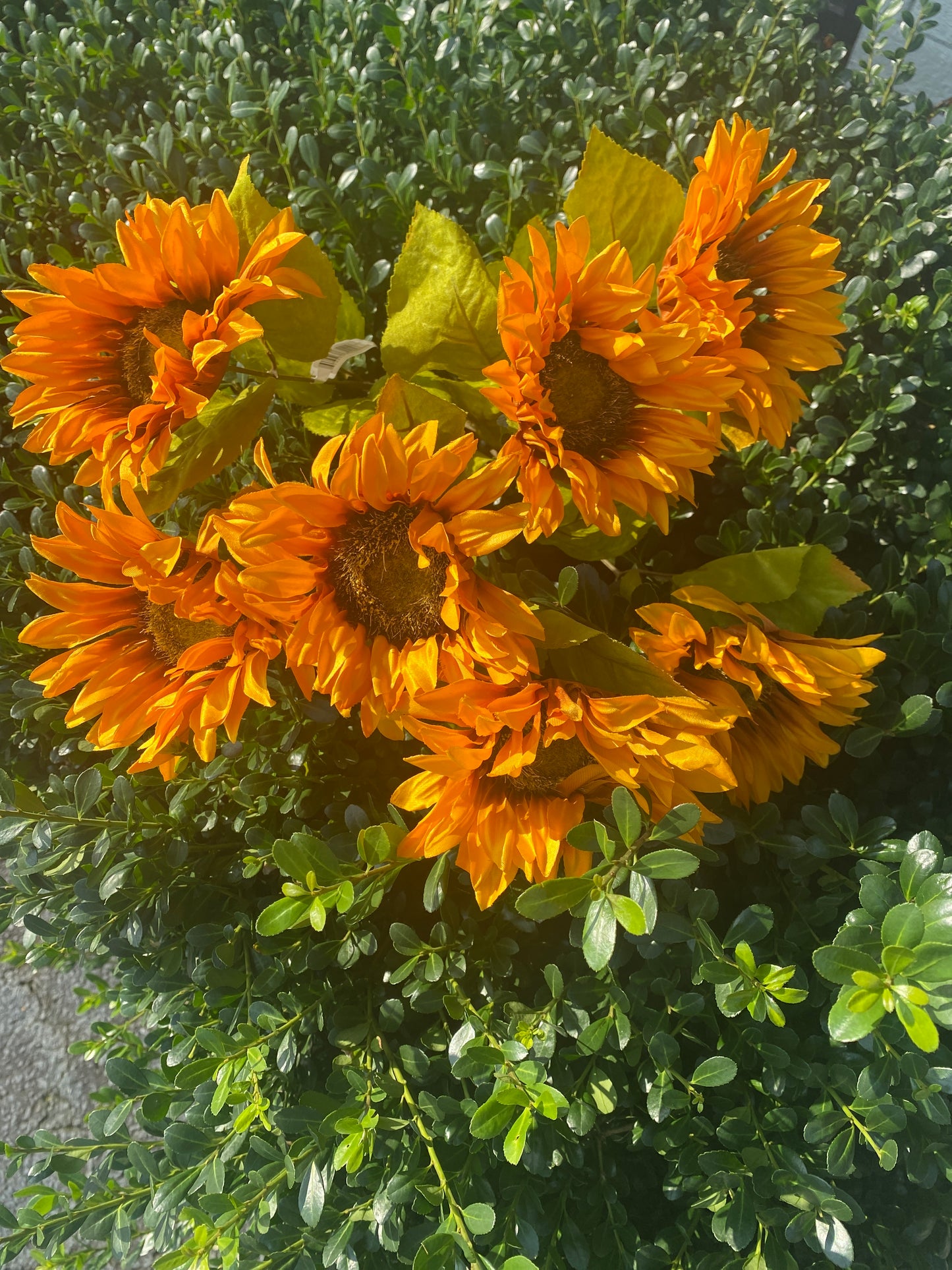 19” Sunflower Bush