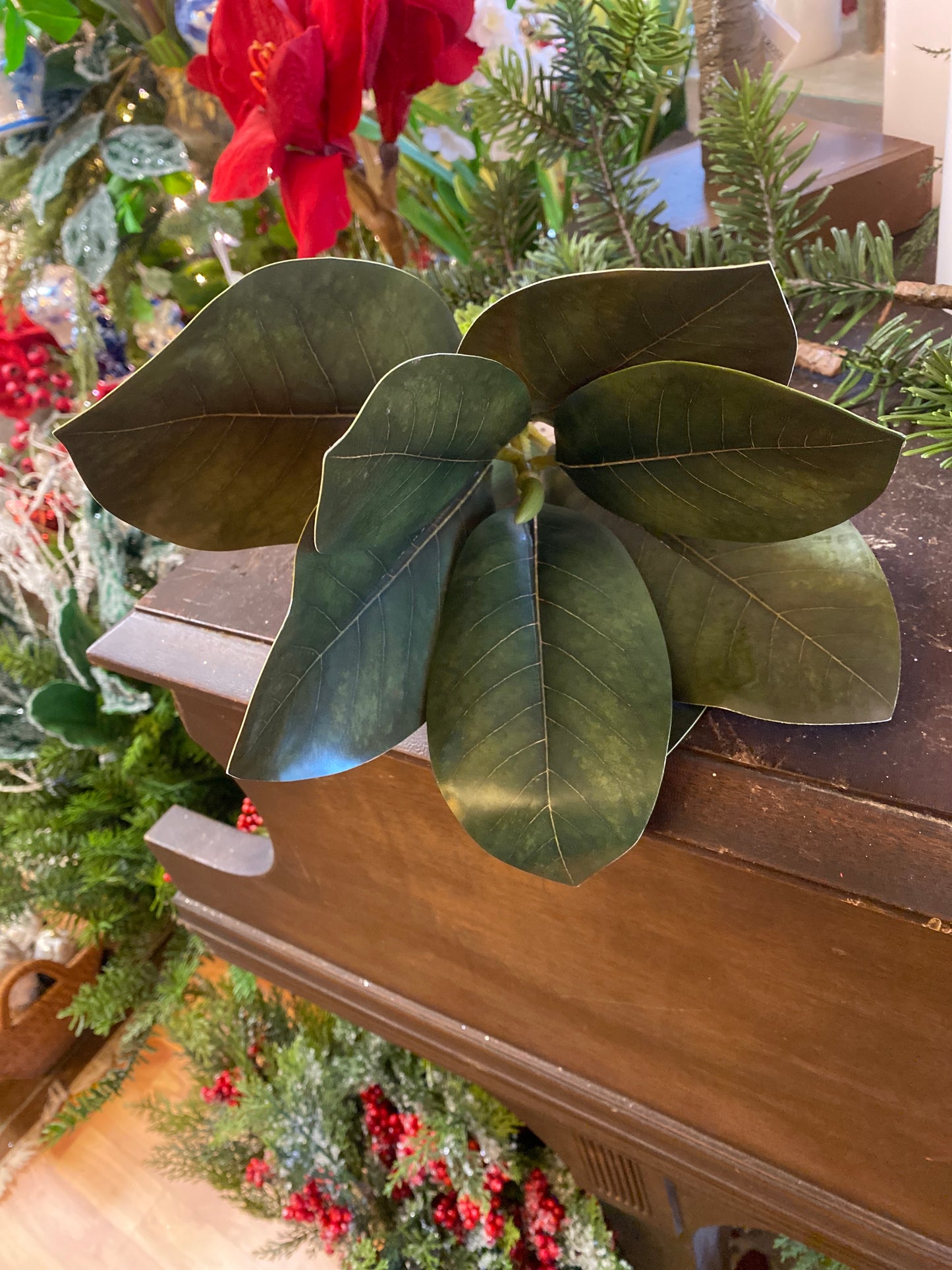 16” Fresh Cut Magnolia Leaf Stem