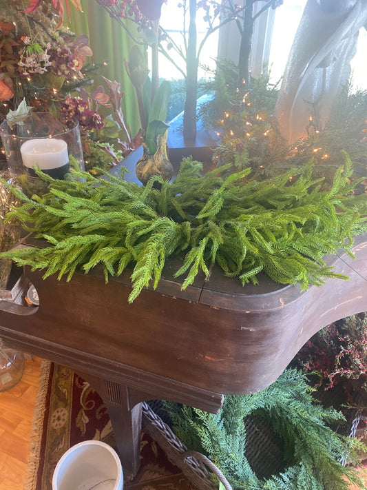 24" Just Cut Norfolk Pine Centerpiece