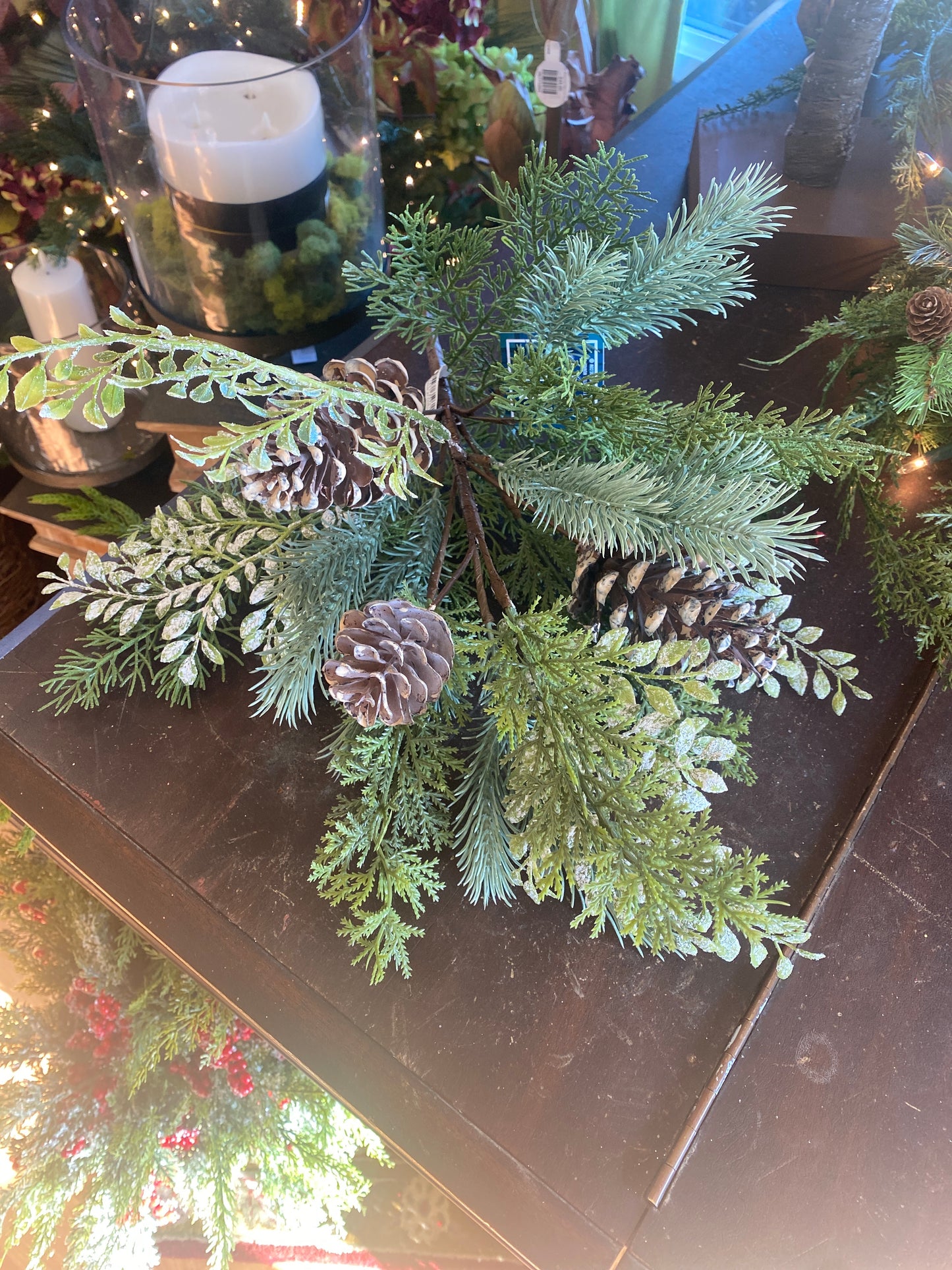 21" Norfolk Pine Bush