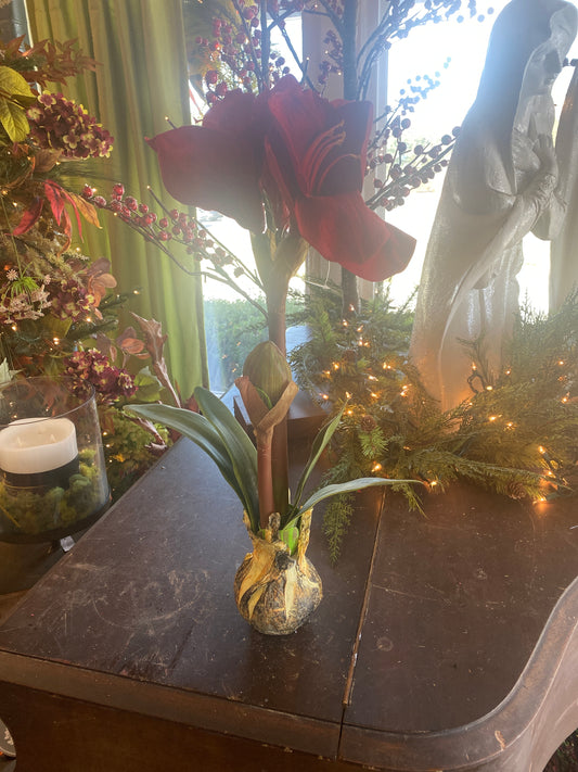 21" Amaryllis Stem W/ Bulb