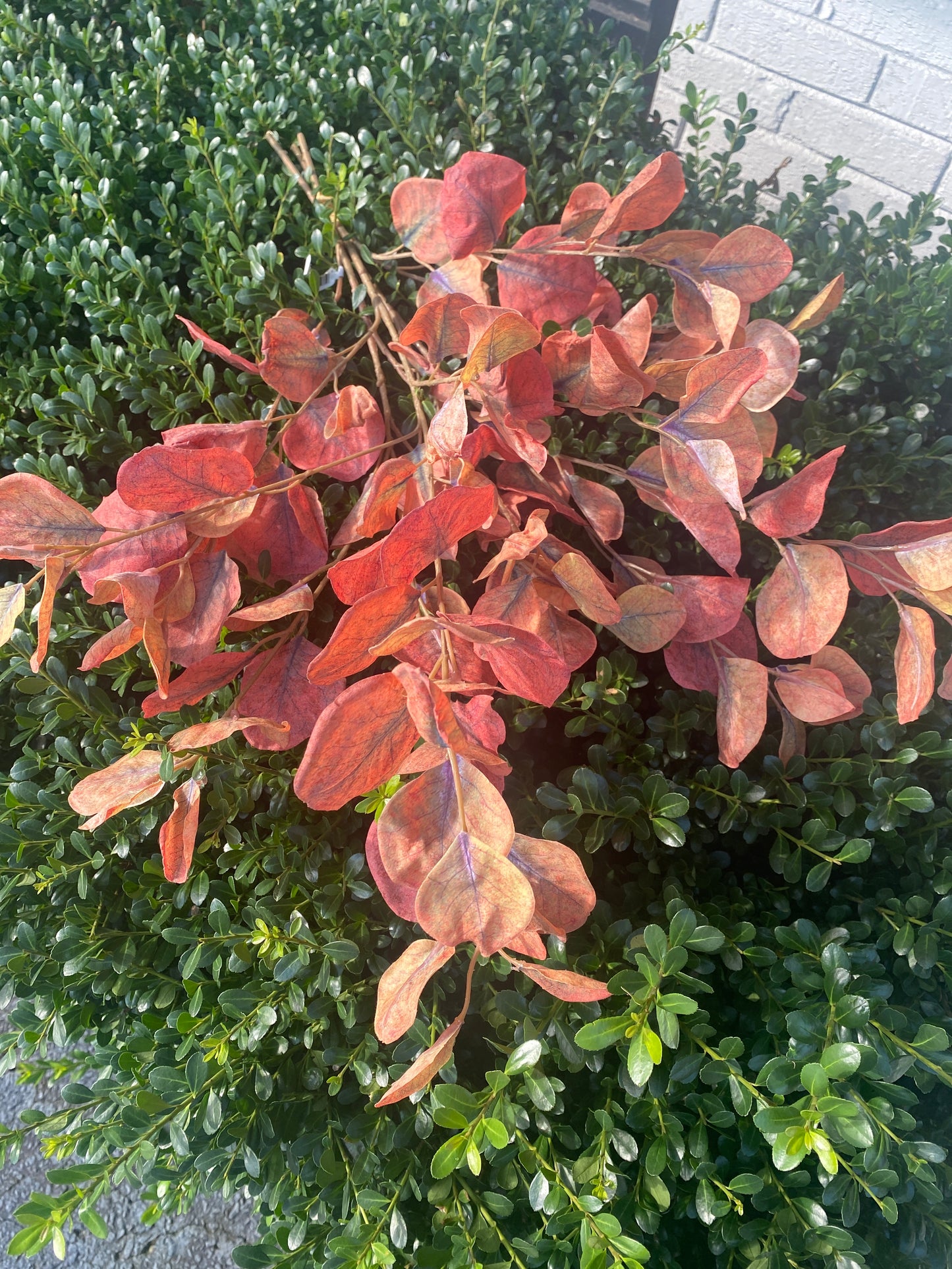 27” Fall EUC Bundles