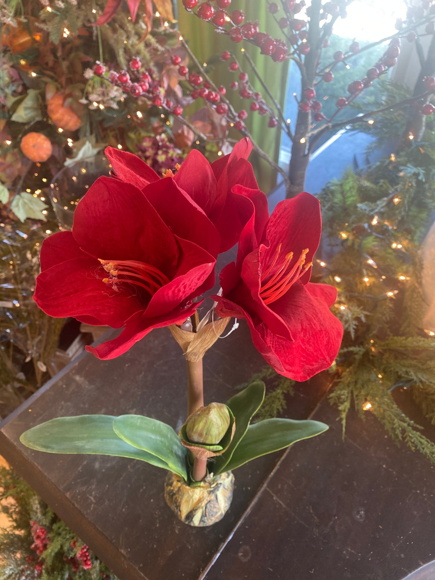 21" Amaryllis Stem W/ Bulb