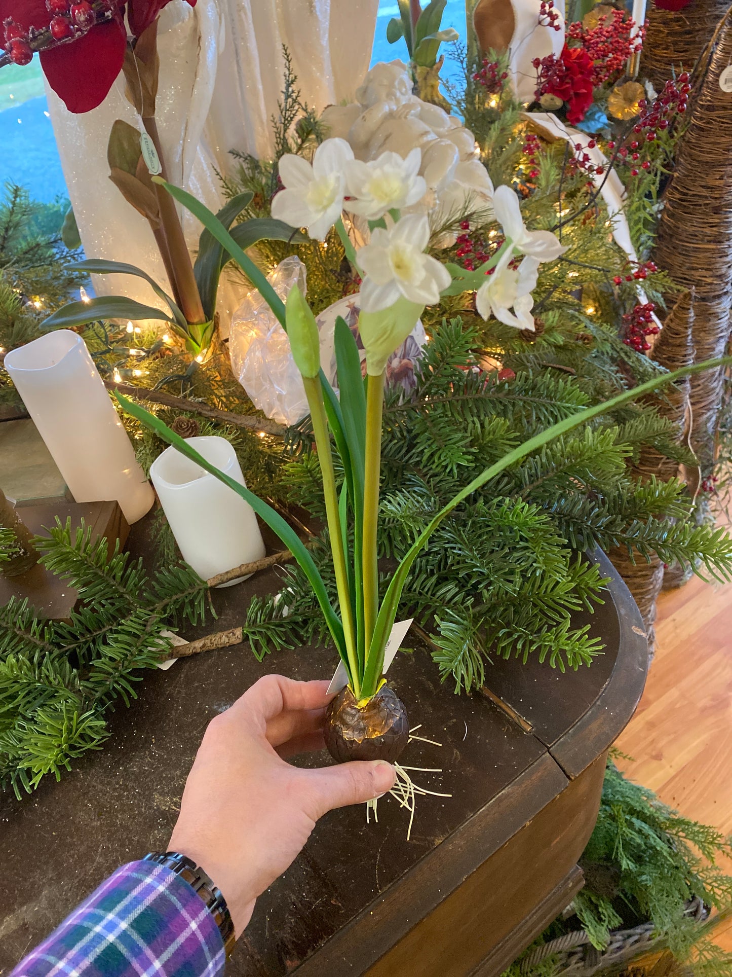 14" H Paper White with Roots