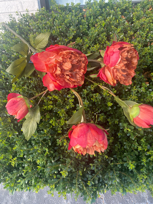 Peony Spray Burgundy 36”