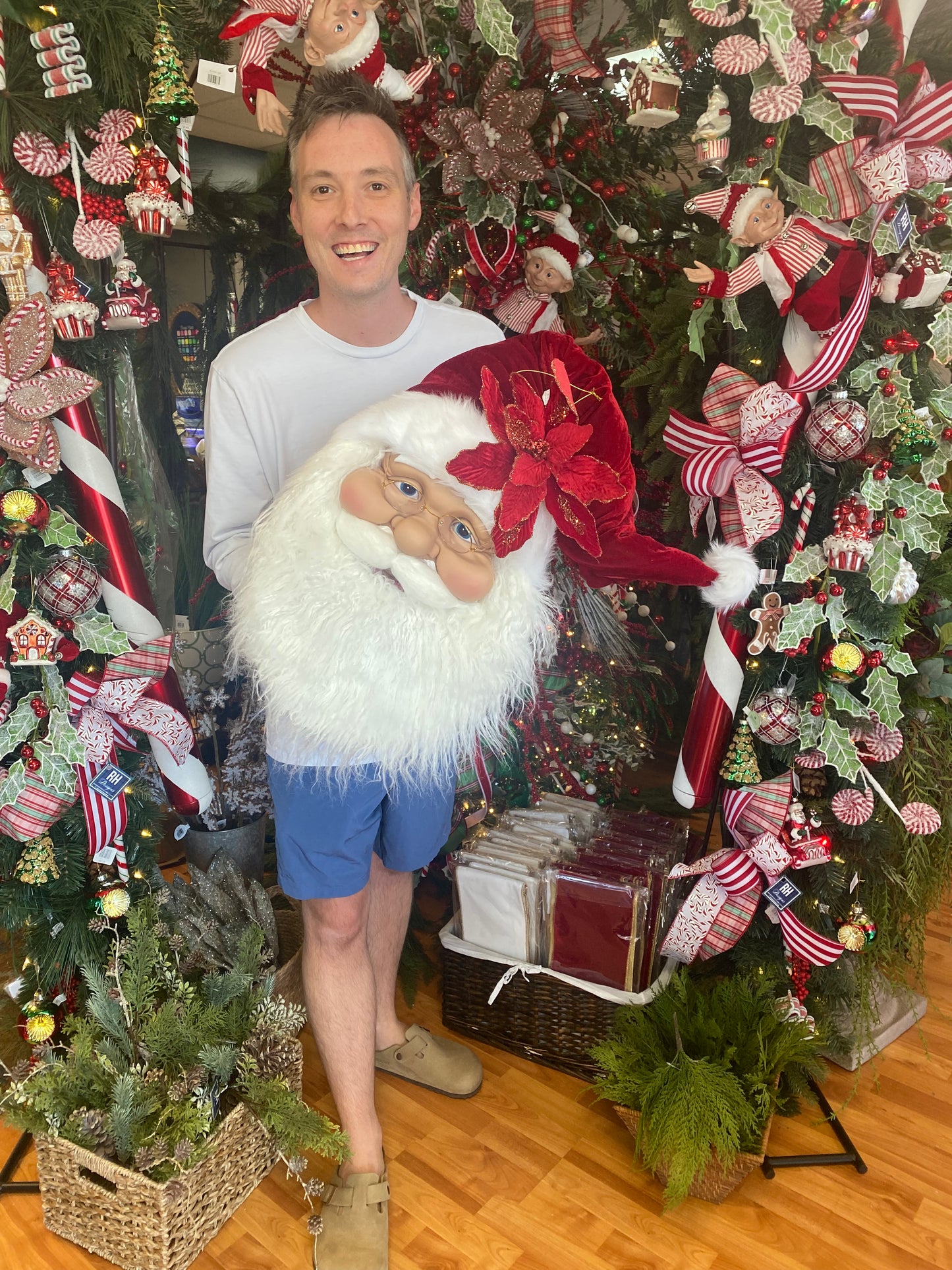 26" Velvet Santa Bust Wall Hanging