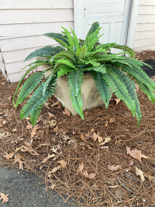 46” Boston Fern Bush UV Protected