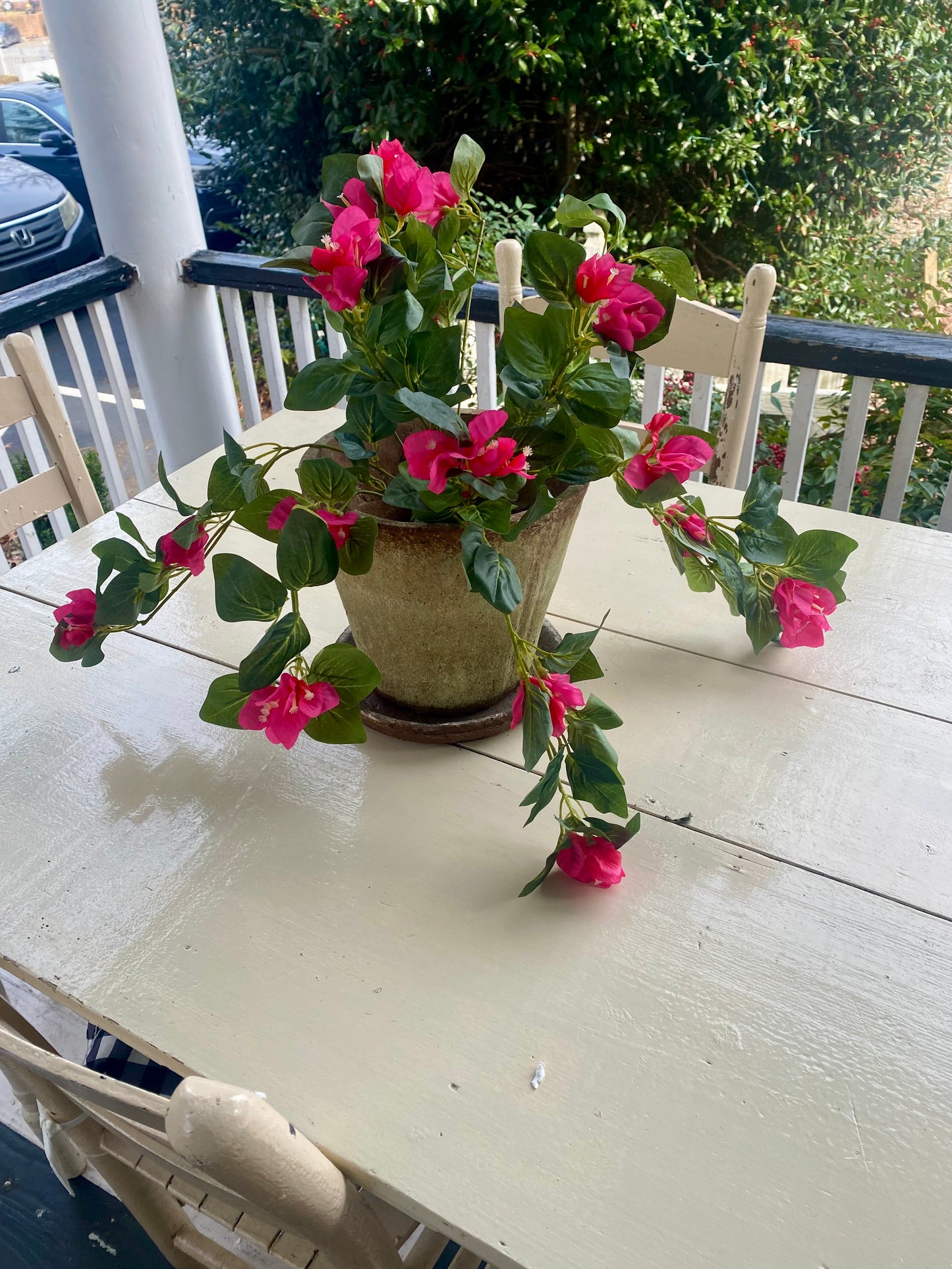hanging bougainvillea plant 25" UV Hanging Bougainvillea Plant Pink Bush – Ricky Hannah Designs