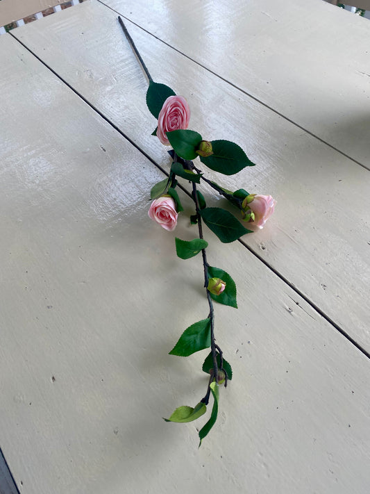 30" Pink Camellia Stem