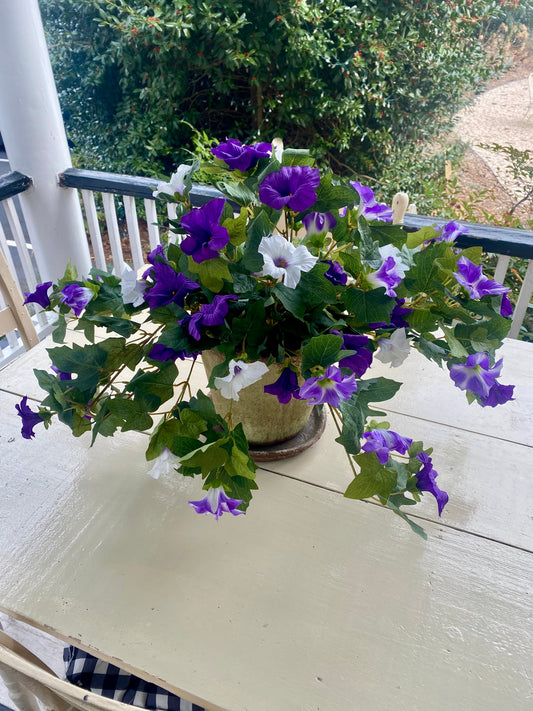 26" Lavender Hanging Petunia Plant UV