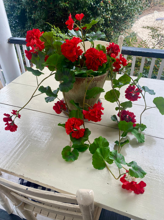Red 36" UV Hanging Geranium Plant Bush