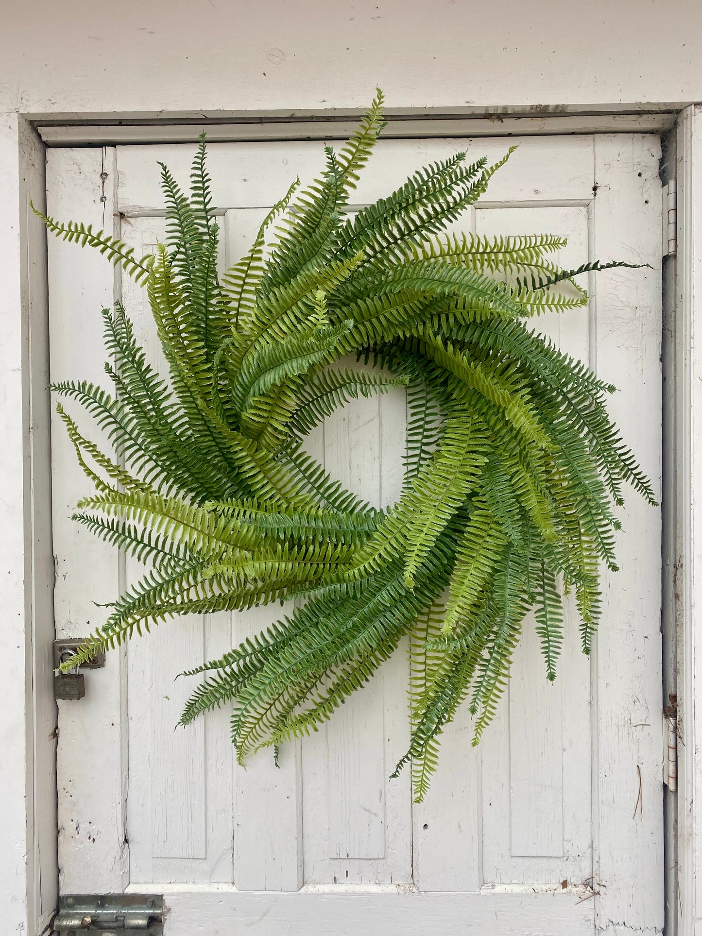36" Fern Wreath on a Vine Base