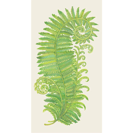 Fern Guest Napkin Pack of 16