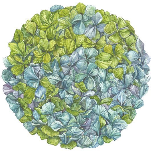 Die Cut Hydrangea Placemats - 12 Sheets
